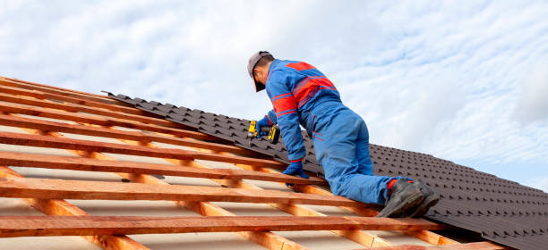 Best Sheet Metal Roofing  in Rochester, WI